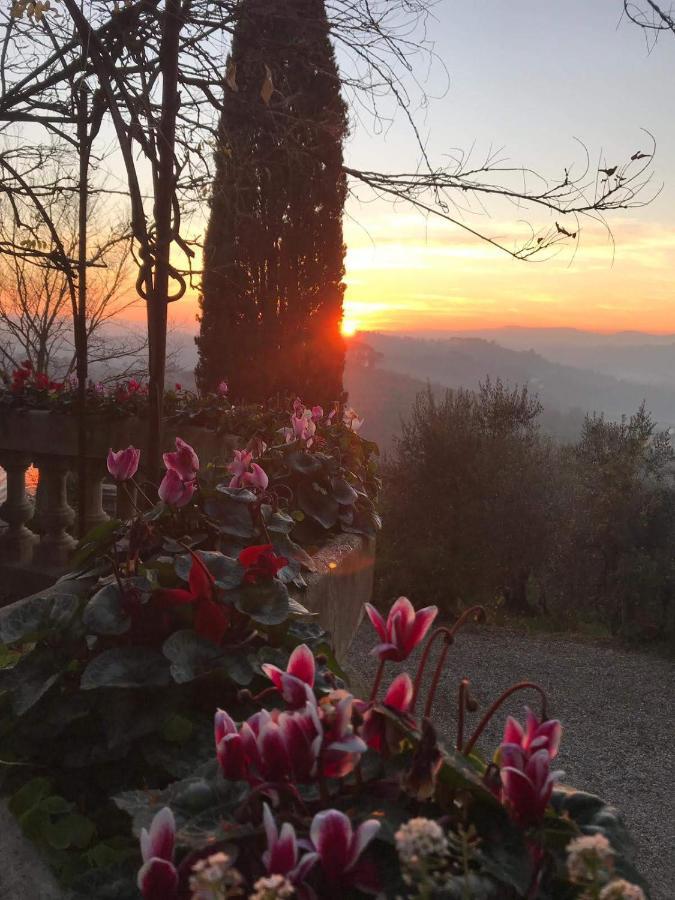 Villa La Piccioncina Firenze エクステリア 写真