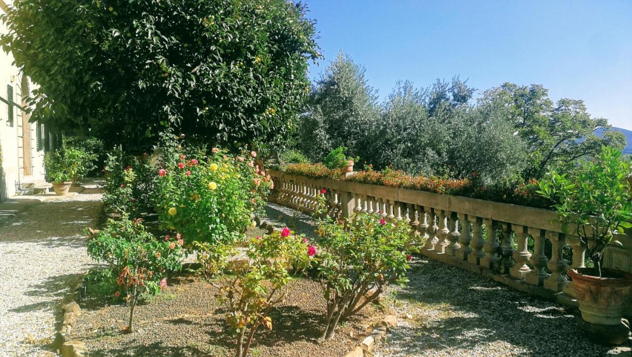 Villa La Piccioncina Firenze エクステリア 写真